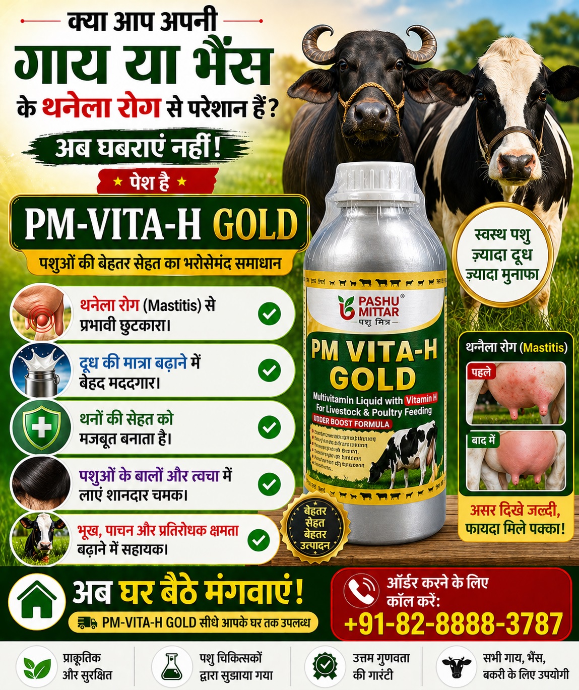 pm vita h poster